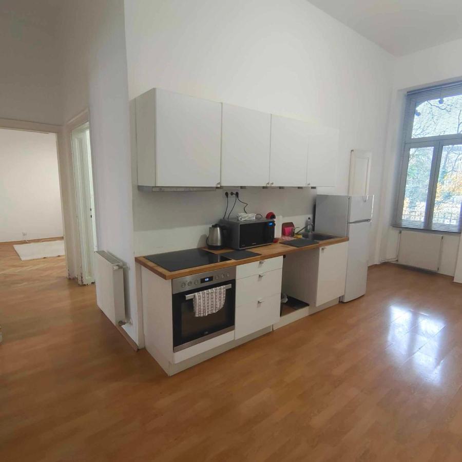 Large 4 Room Apartment In The Center Of Vienna Viena Exterior foto